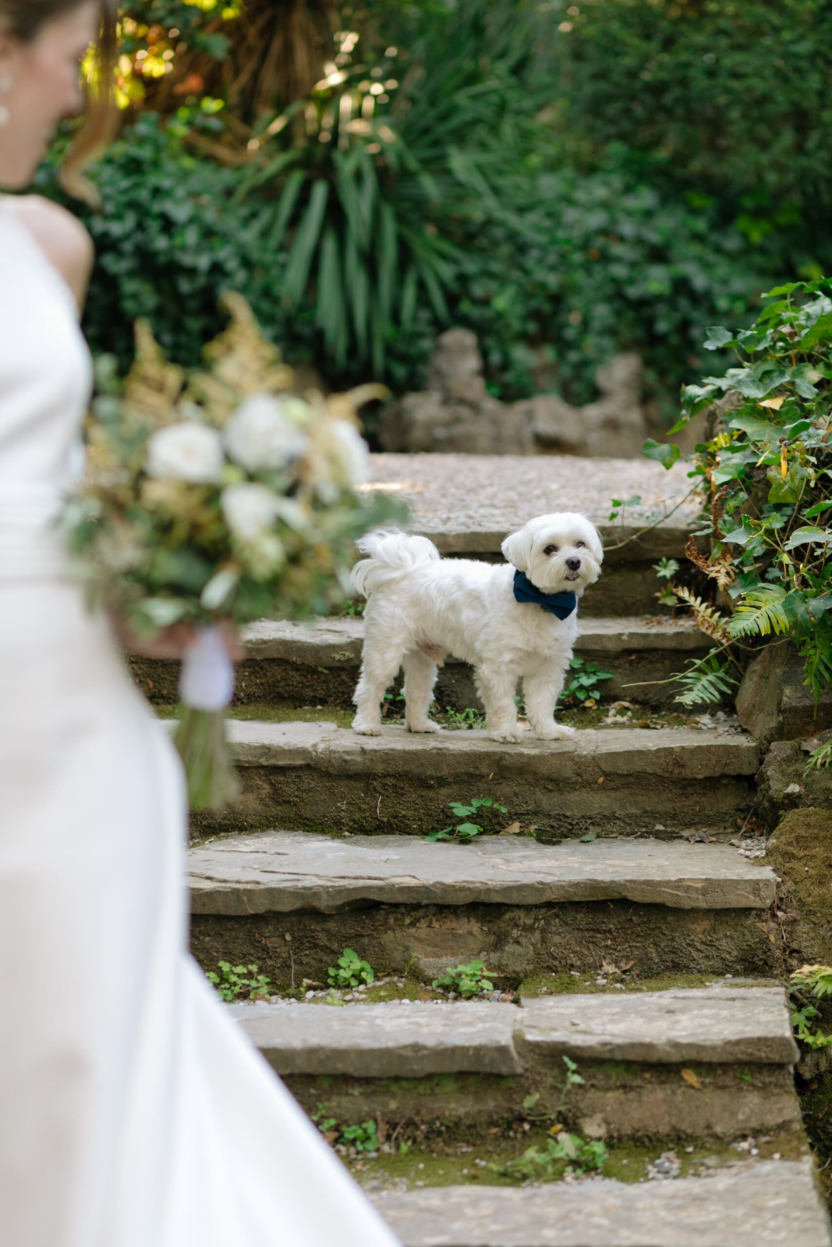 LirolaCusso-Anna i Jordi-01-07-2023_WEB-0357