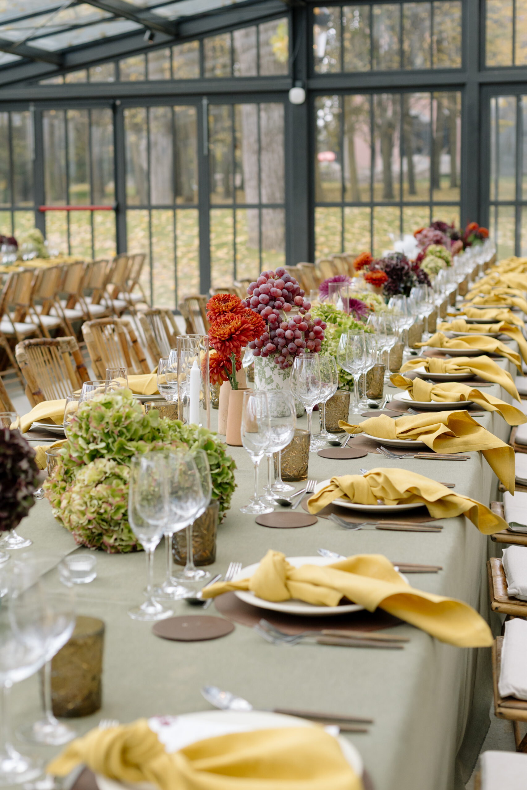 LirolaCusso_2024-11-02_Nina i Nani_WEB-0597