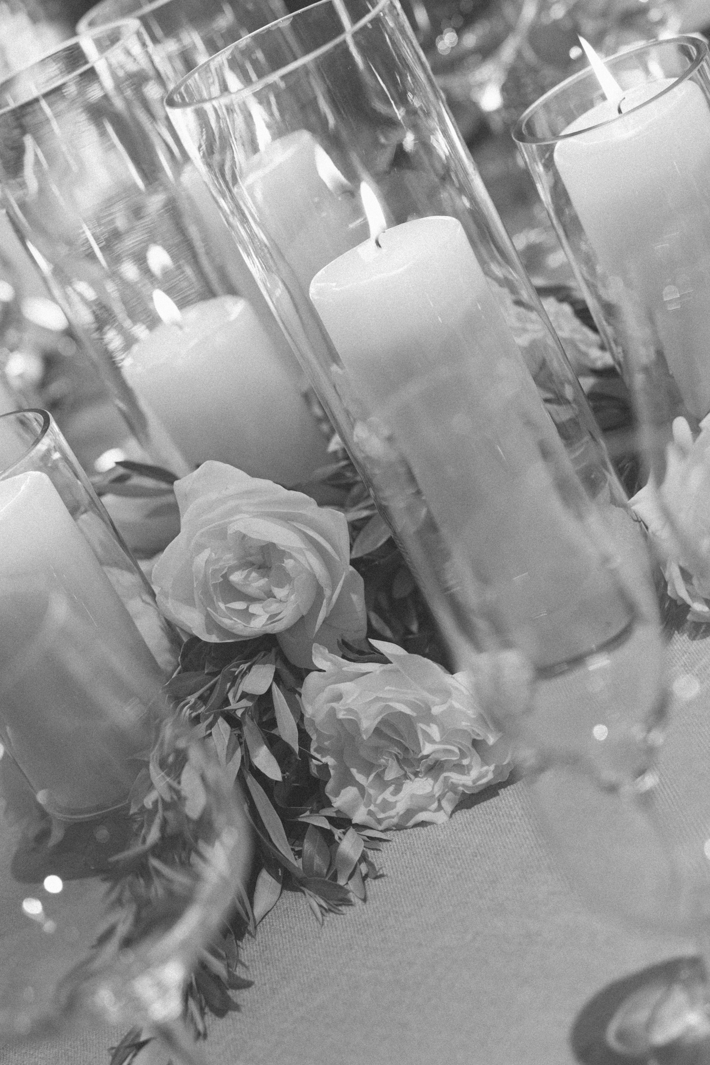 LirolaCusso_Alba i Txus_2025-06-14_WEB-0265